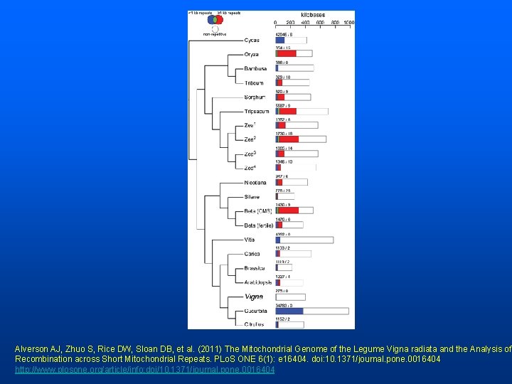 Alverson AJ, Zhuo S, Rice DW, Sloan DB, et al. (2011) The Mitochondrial Genome