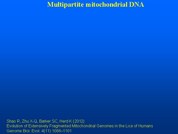 Multipartite mitochondrial DNA Shao R, Zhu X-Q, Barker SC, Herd K (2012) Evolution of