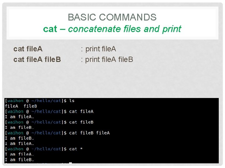 BASIC COMMANDS cat – concatenate files and print cat file. A file. B :