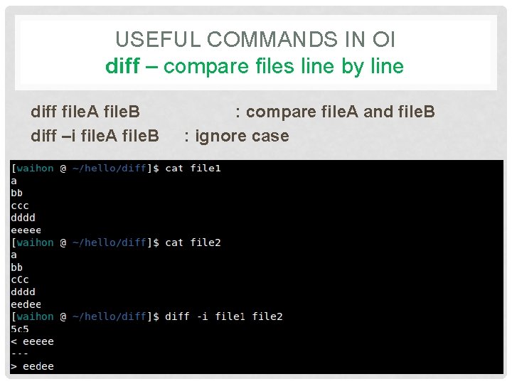 USEFUL COMMANDS IN OI diff – compare files line by line diff file. A