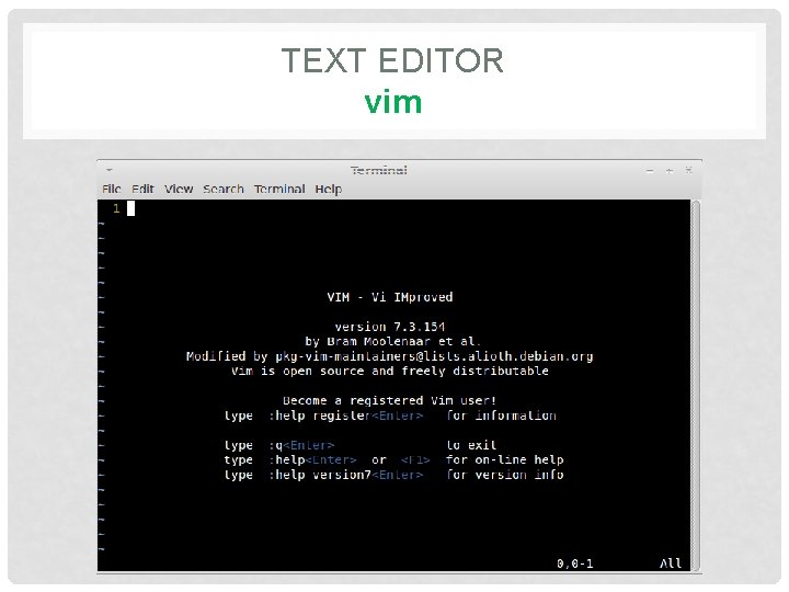 TEXT EDITOR vim 