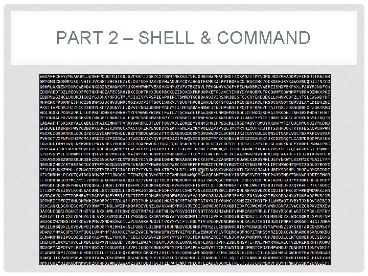 PART 2 – SHELL & COMMAND 