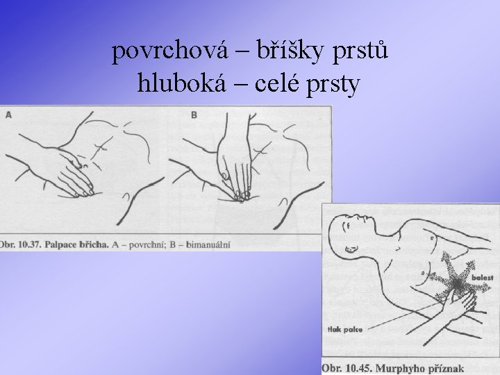 povrchová – bříšky prstů hluboká – celé prsty 