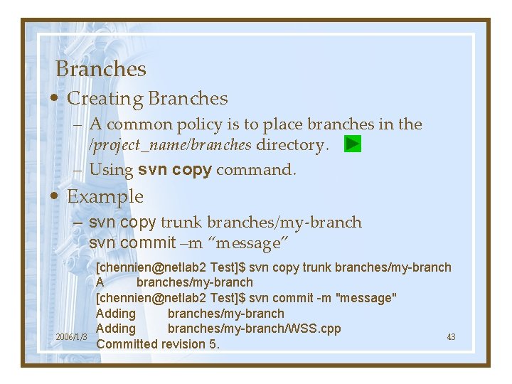 Branches • Creating Branches – A common policy is to place branches in the