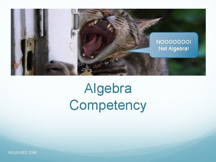 NOOOOOOO! Not Algebra! Algebra Competency RELEASED 2008 