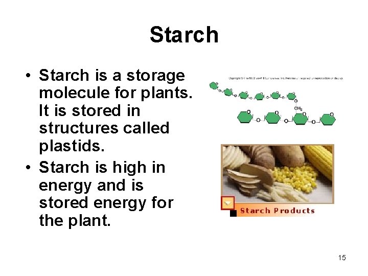 Starch • Starch is a storage molecule for plants. It is stored in structures