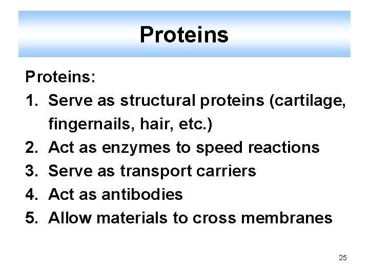Proteins: 1. Serve as structural proteins (cartilage, fingernails, hair, etc. ) 2. Act as
