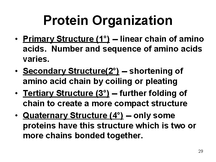 Protein Organization • Primary Structure (1°) -- linear chain of amino acids. Number and