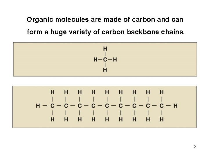 Organic molecules are made of carbon and can form a huge variety of carbon
