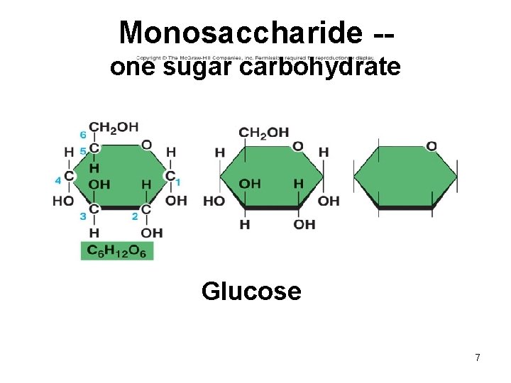 Monosaccharide -one sugar carbohydrate Glucose 7 
