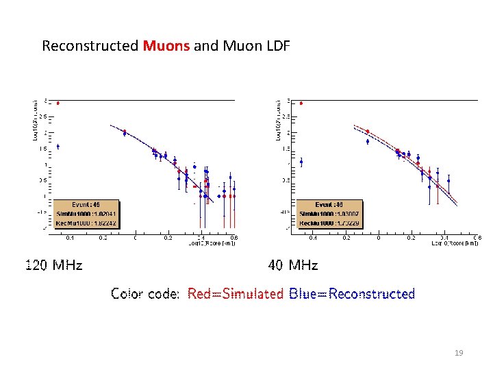 Reconstructed Muons and Muon LDF 19 
