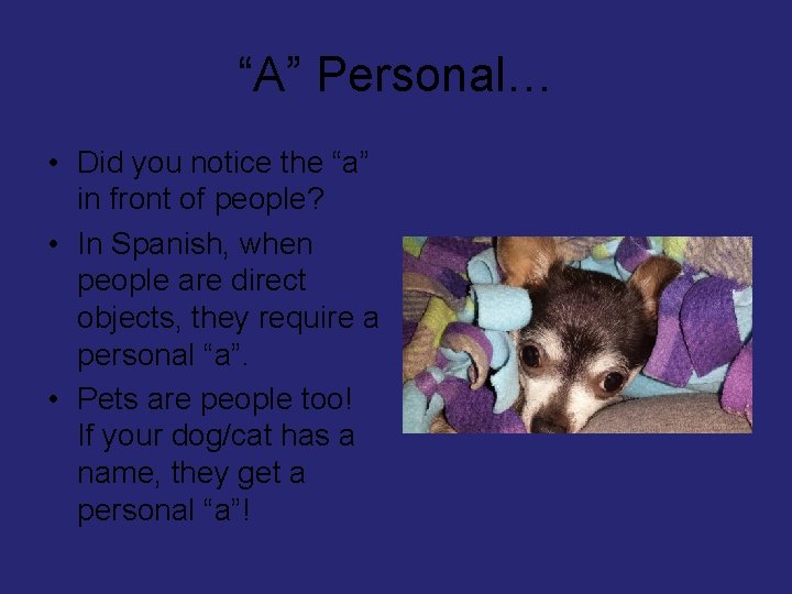 “A” Personal… • Did you notice the “a” in front of people? • In