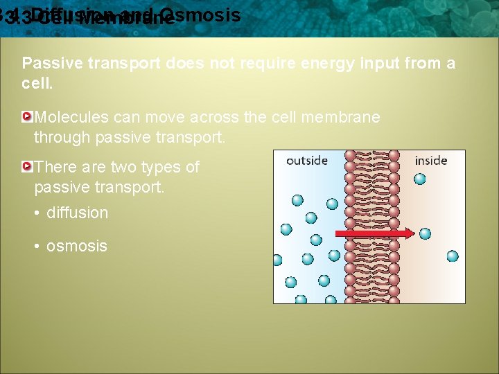 3. 4 and Osmosis 3. 3 Diffusion Cell Membrane Passive transport does not require