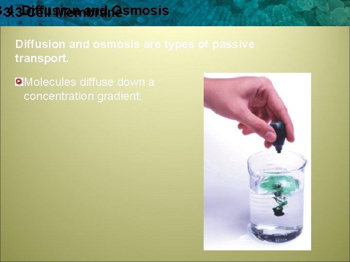 3. 4 and Osmosis 3. 3 Diffusion Cell Membrane Diffusion and osmosis are types