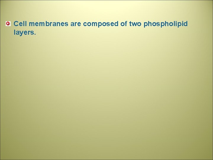 Cell membranes are composed of two phospholipid layers. 