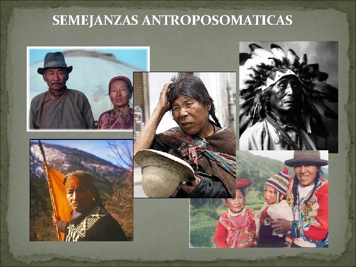 SEMEJANZAS ANTROPOSOMATICAS 