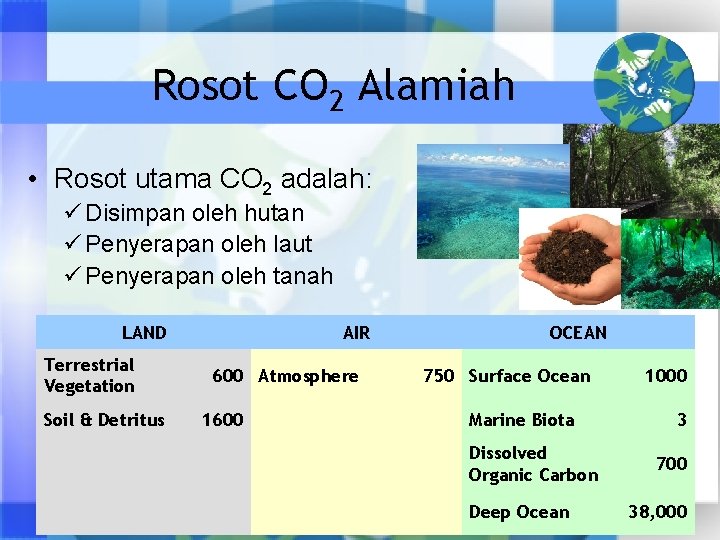 Rosot CO 2 Alamiah • Rosot utama CO 2 adalah: ü Disimpan oleh hutan