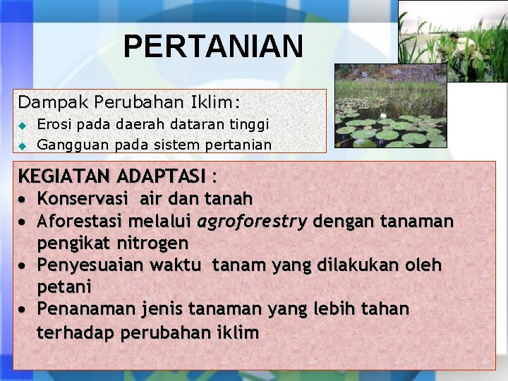 PERTANIAN Dampak Perubahan Iklim: u u Erosi pada daerah dataran tinggi Gangguan pada sistem