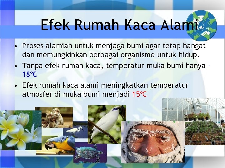 Efek Rumah Kaca Alami • Proses alamiah untuk menjaga bumi agar tetap hangat dan