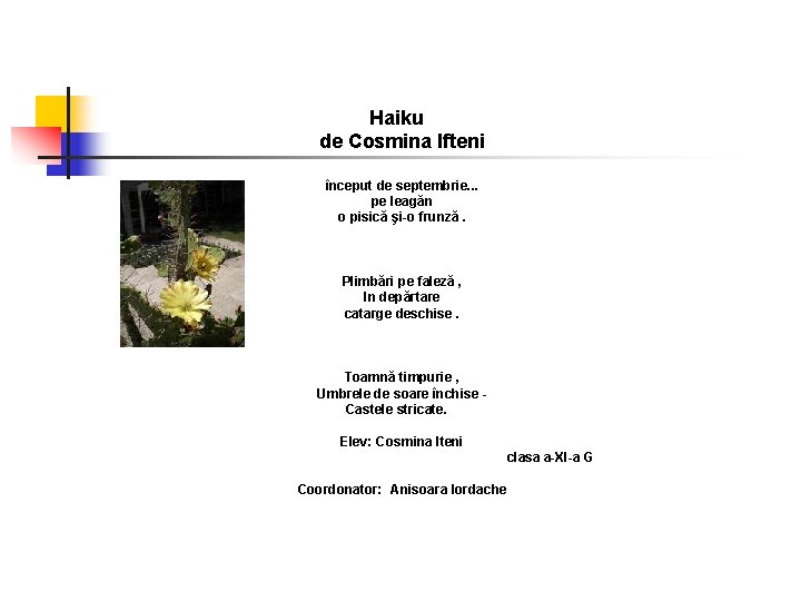 Haiku de Cosmina Ifteni început de septembrie. . . pe leagăn o pisică şi-o