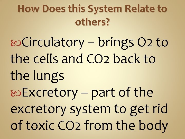 How Does this System Relate to others? Circulatory – brings O 2 to the How Does this System Relate to others? Circulatory – brings O 2 to the
