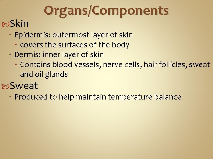 Organs/Components Skin Epidermis: outermost layer of skin covers the surfaces of the body Dermis: Organs/Components Skin Epidermis: outermost layer of skin covers the surfaces of the body Dermis: