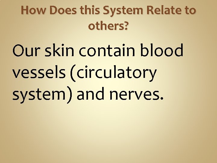How Does this System Relate to others? Our skin contain blood vessels (circulatory system) How Does this System Relate to others? Our skin contain blood vessels (circulatory system)