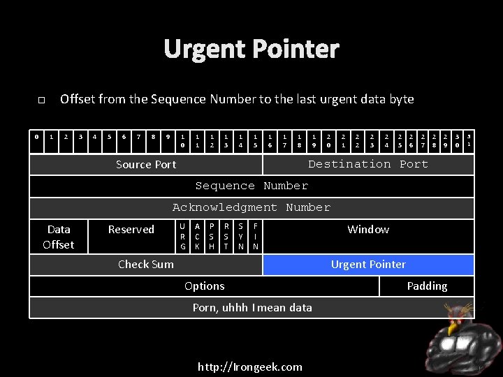 Urgent Pointer Offset from the Sequence Number to the last urgent data byte 0