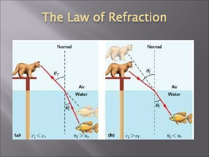 The Law of Refraction 