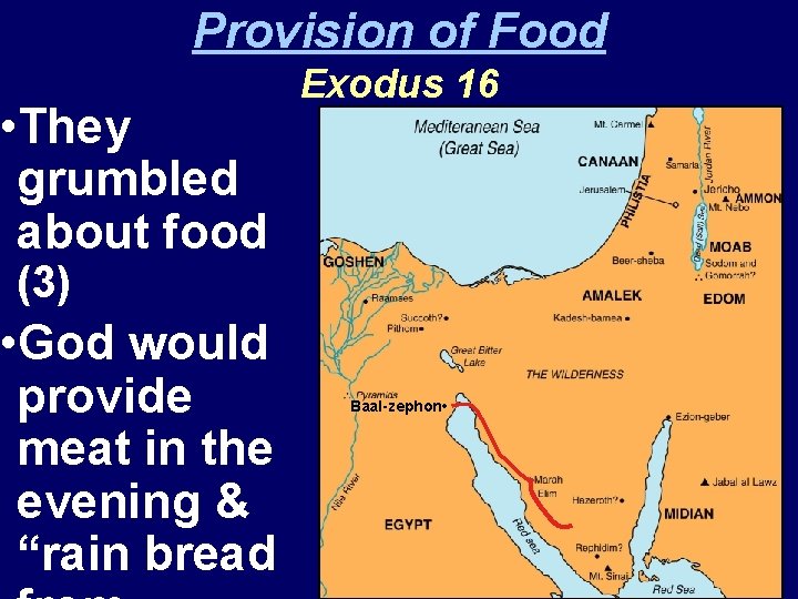 Provision of Food • They grumbled about food Exodus 16 (3) • God would