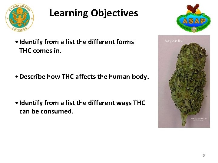 Learning Objectives • Identify from a list the different forms THC comes in. • Learning Objectives • Identify from a list the different forms THC comes in. •