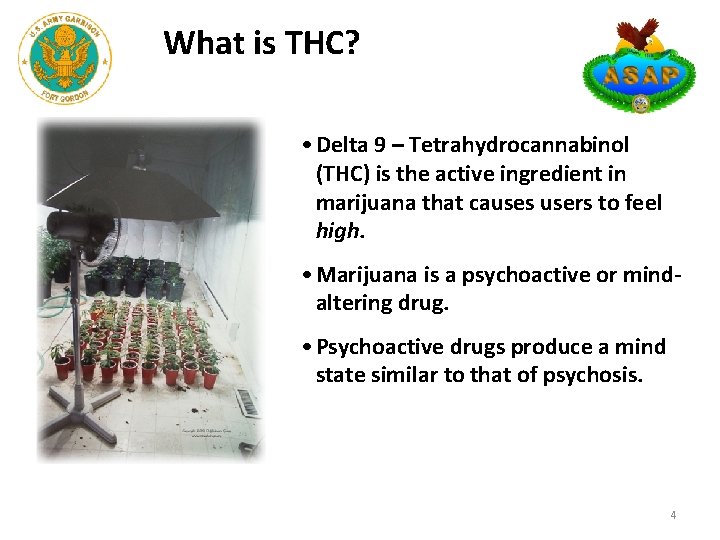 What is THC? • Delta 9 – Tetrahydrocannabinol (THC) is the active ingredient in What is THC? • Delta 9 – Tetrahydrocannabinol (THC) is the active ingredient in