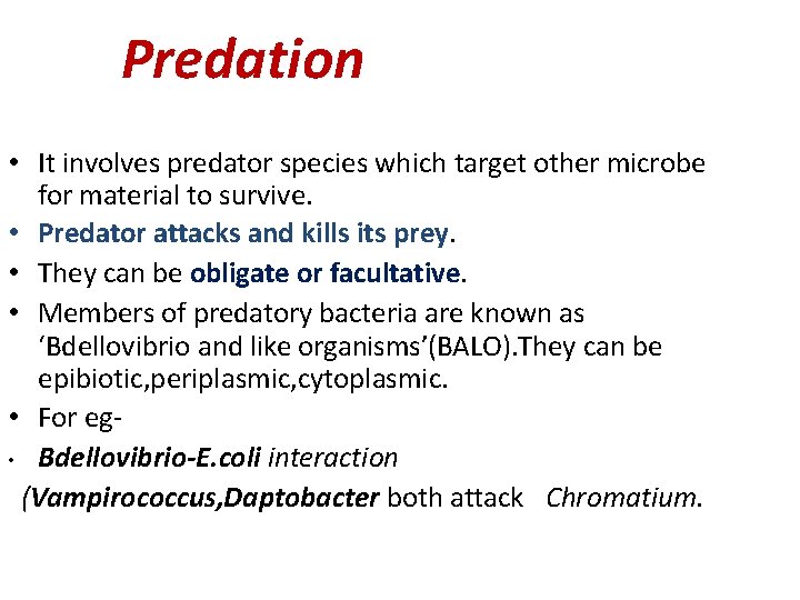 Predation • It involves predator species which target other microbe for material to survive.