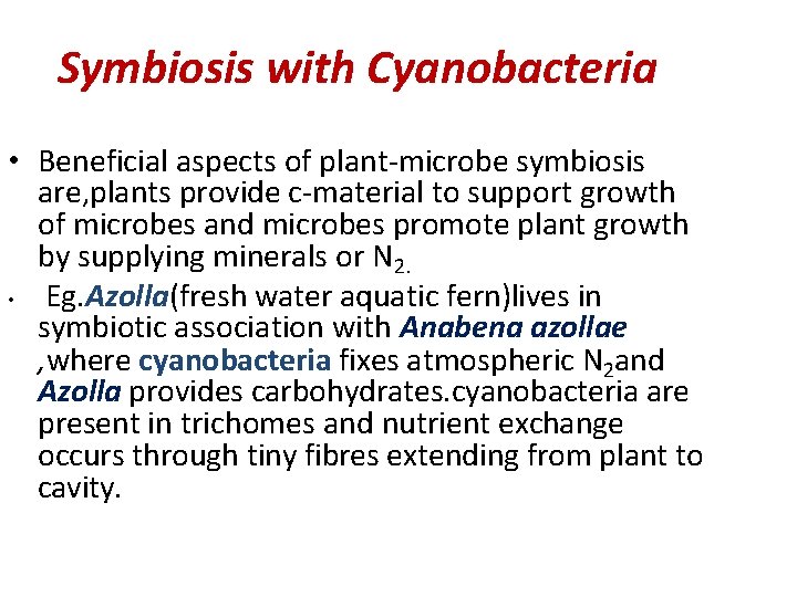 Symbiosis with Cyanobacteria • Beneficial aspects of plant-microbe symbiosis are, plants provide c-material to