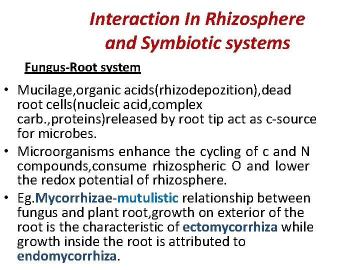 Interaction In Rhizosphere and Symbiotic systems Fungus-Root system • Mucilage, organic acids(rhizodepozition), dead root