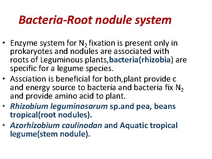Bacteria-Root nodule system • Enzyme system for N 2 fixation is present only in