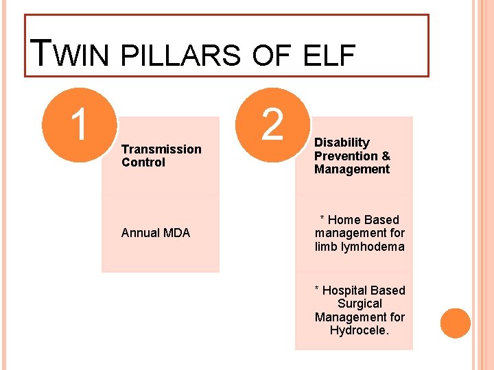 TWIN PILLARS OF ELF 1 Transmission Control Annual MDA 2 Disability Prevention & Management