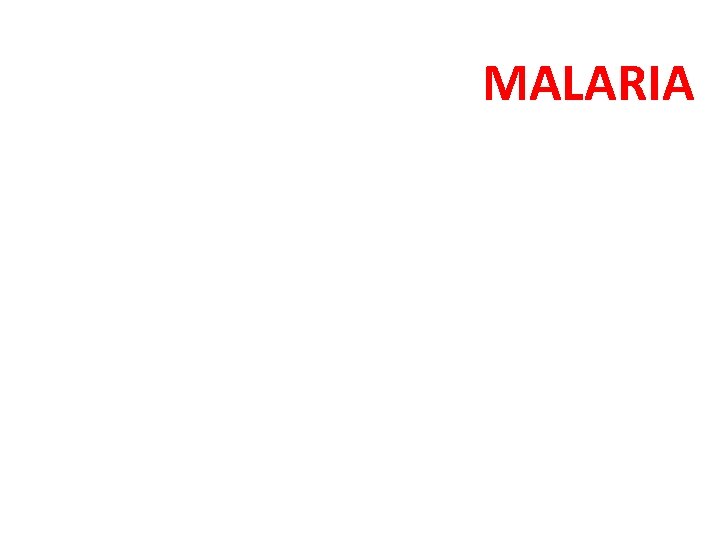 MALARIA 