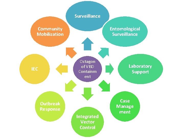 Surveillance Community Mobilization Entomological Surveillance Octagon of VBD Containm ent IEC Outbreak Response Integrated