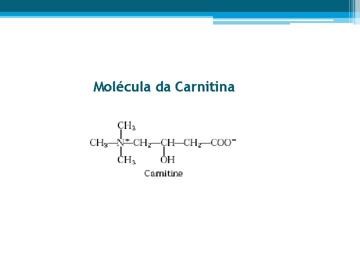 Molécula da Carnitina 