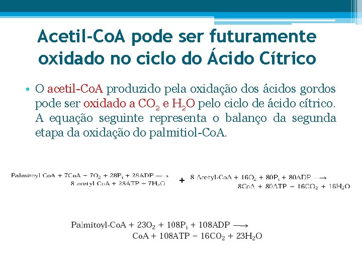 Acetil-Co. A pode ser futuramente oxidado no ciclo do Ácido Cítrico • O acetil-Co.