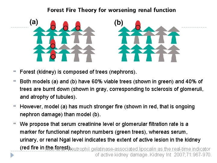  Forest (kidney) is composed of trees (nephrons). Both models (a) and (b) have