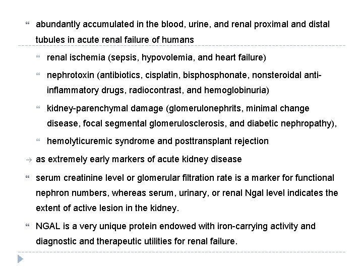  abundantly accumulated in the blood, urine, and renal proximal and distal tubules in