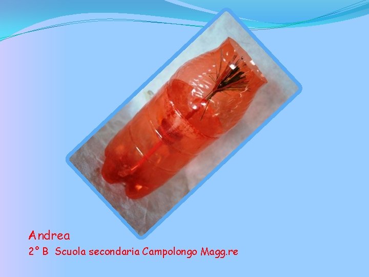Andrea 2° B Scuola secondaria Campolongo Magg. re 