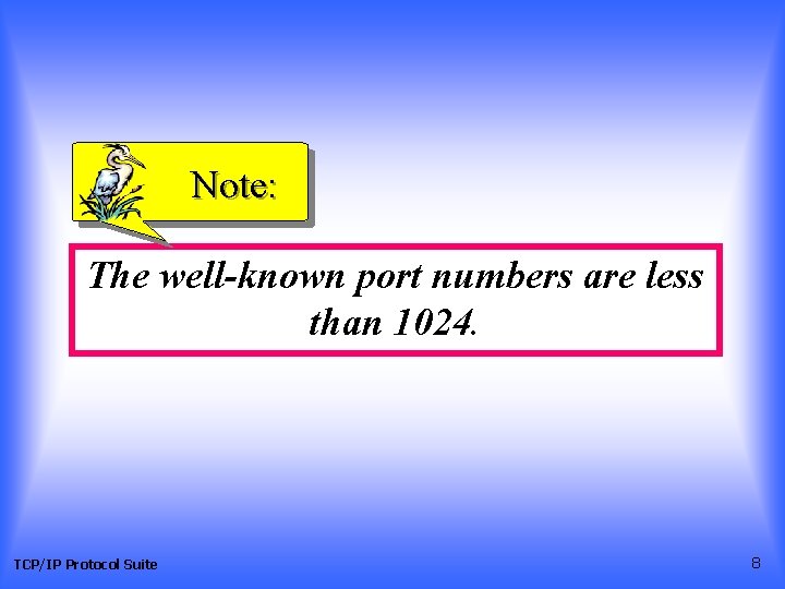 Note: The well-known port numbers are less than 1024. TCP/IP Protocol Suite 8 