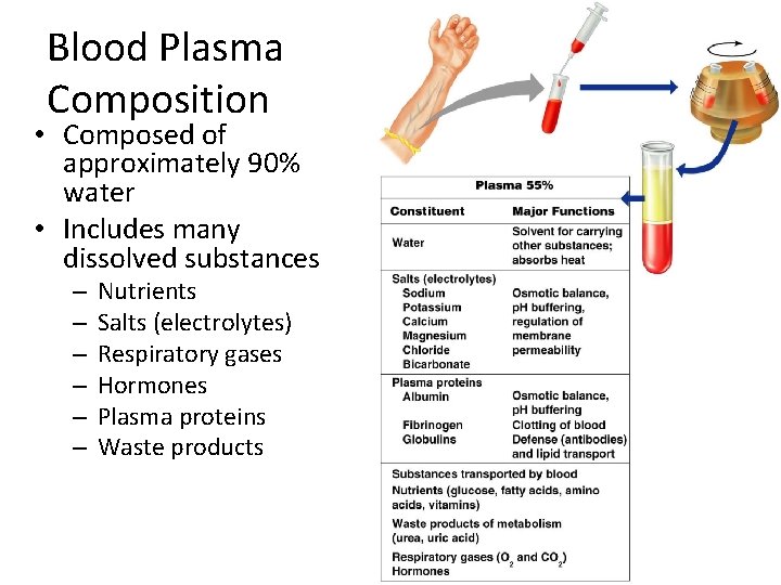 Blood Plasma Composition • Composed of approximately 90% water • Includes many dissolved substances