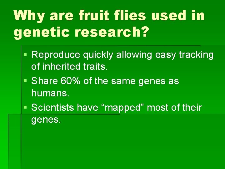 Why are fruit flies used in genetic research? § Reproduce quickly allowing easy tracking