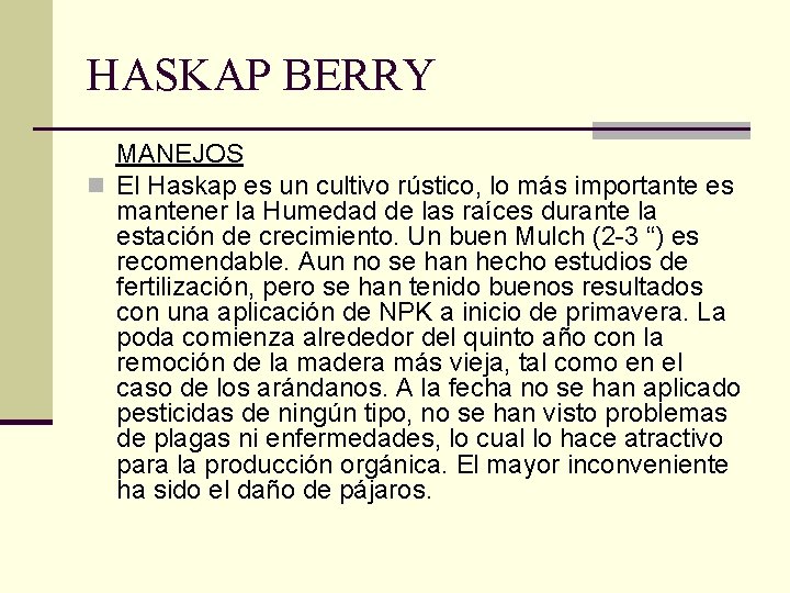 HASKAP BERRY MANEJOS n El Haskap es un cultivo rústico, lo más importante es