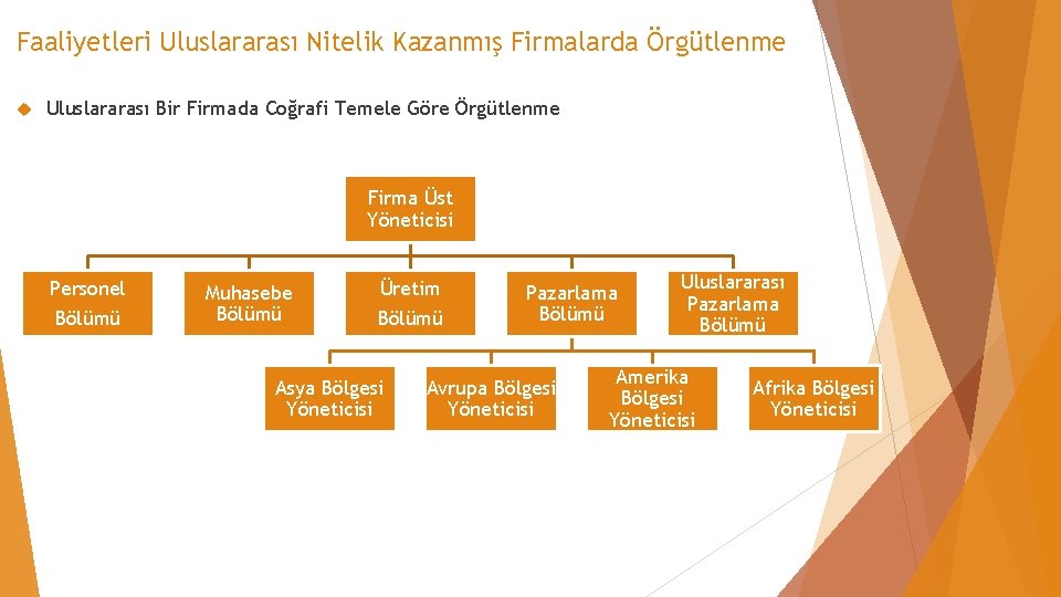 Faaliyetleri Uluslararası Nitelik Kazanmış Firmalarda Örgütlenme Uluslararası Bir Firmada Coğrafi Temele Göre Örgütlenme Firma