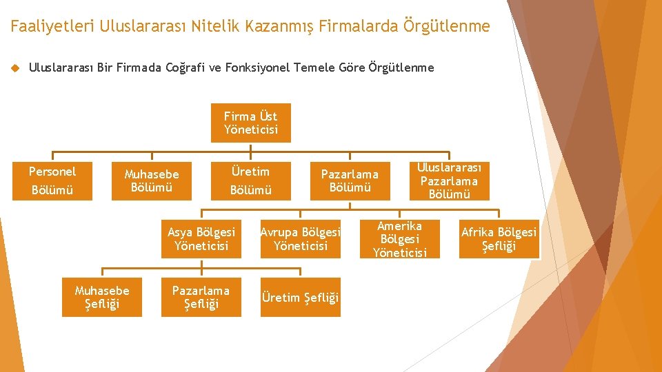 Faaliyetleri Uluslararası Nitelik Kazanmış Firmalarda Örgütlenme Uluslararası Bir Firmada Coğrafi ve Fonksiyonel Temele Göre